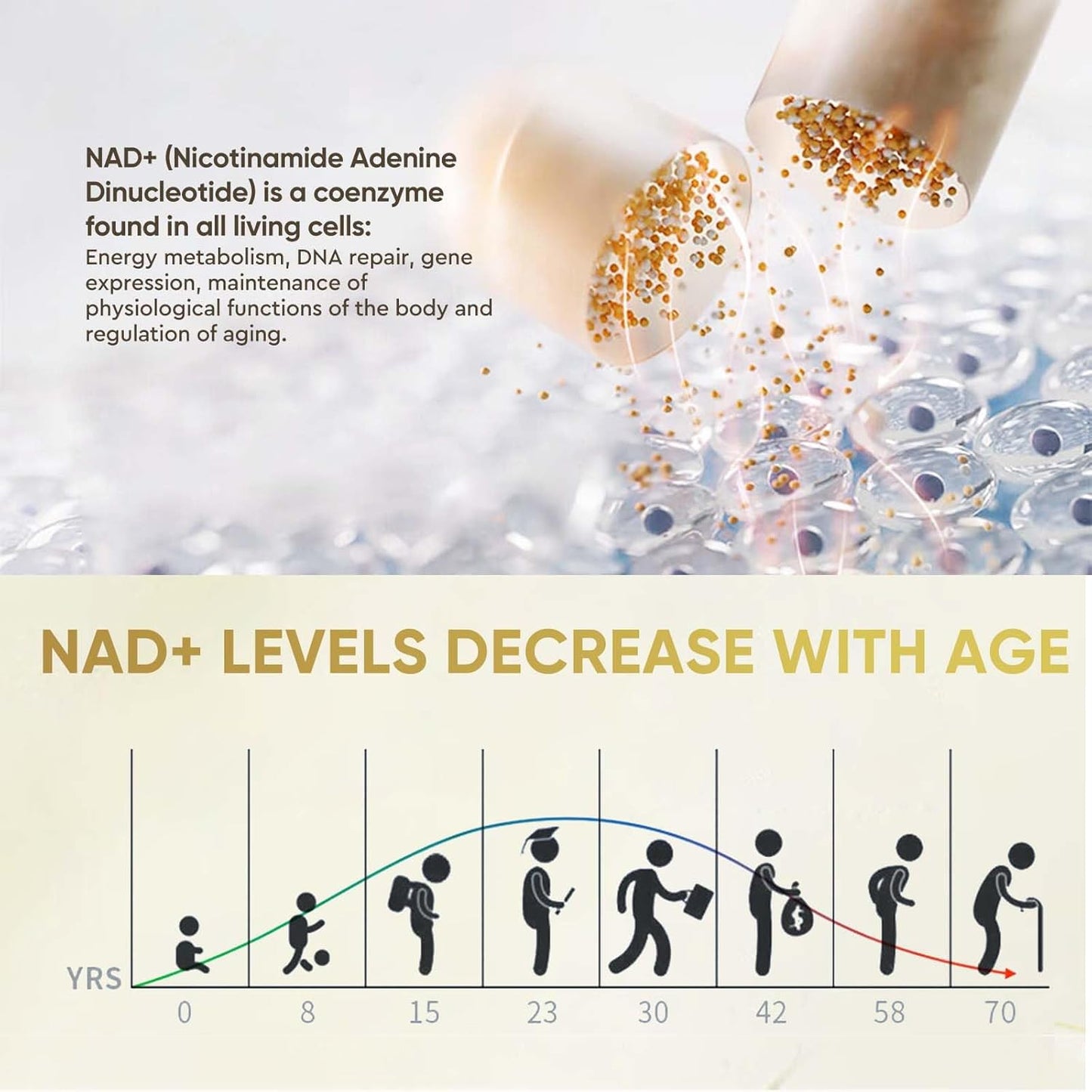 NAD+ Resveratrol Boosting Supplement, Actual NAD+ Efficient for Support Energy Metabolism & Repair, Vitality & Healt, Aging Defense - 120 Count
