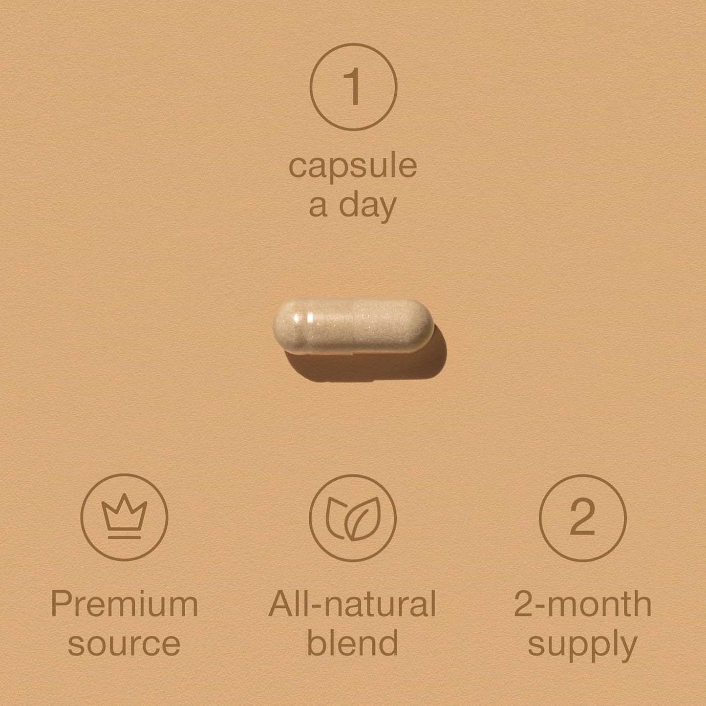 Panax Ginseng Capsules High Strength - 6000mg Korean Red Ginseng & Ginkgo Biloba for Natural Energy & Focus - Vegan & UK Made - 60 Tablets One-a-Day - Premium Ginseng Root Supplements for Men & Women - Naturhealth UK #